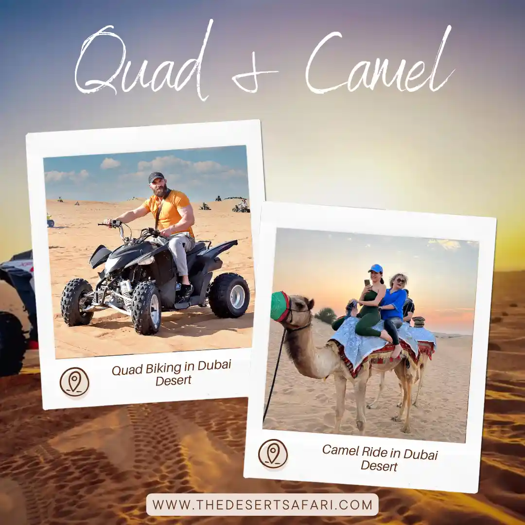 Quad Bike And Camel Ride Dubai Ultimate Desert Adventure