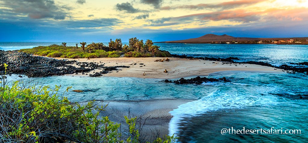 The-Galapagos-Islands