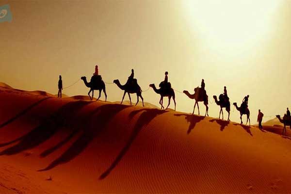 camel-ride-in-Abu-Dhabi