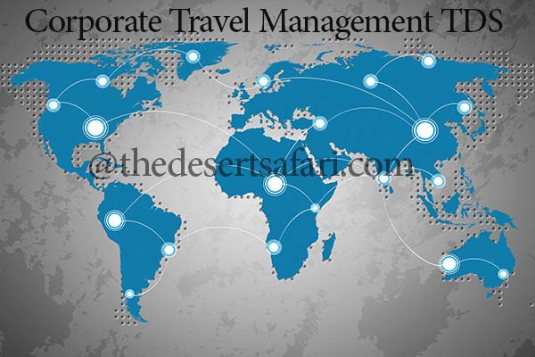 Corporate Travel Management 