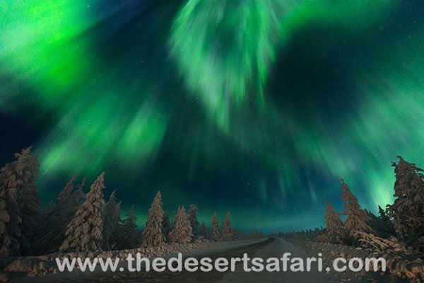Northern lights vacation TDS