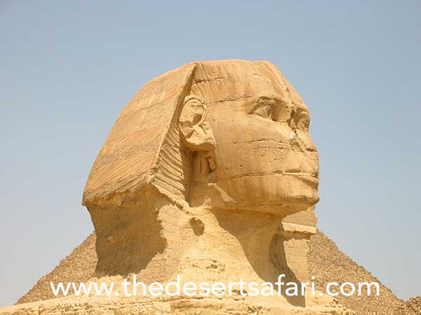 Pyramids-of-Giza TDS