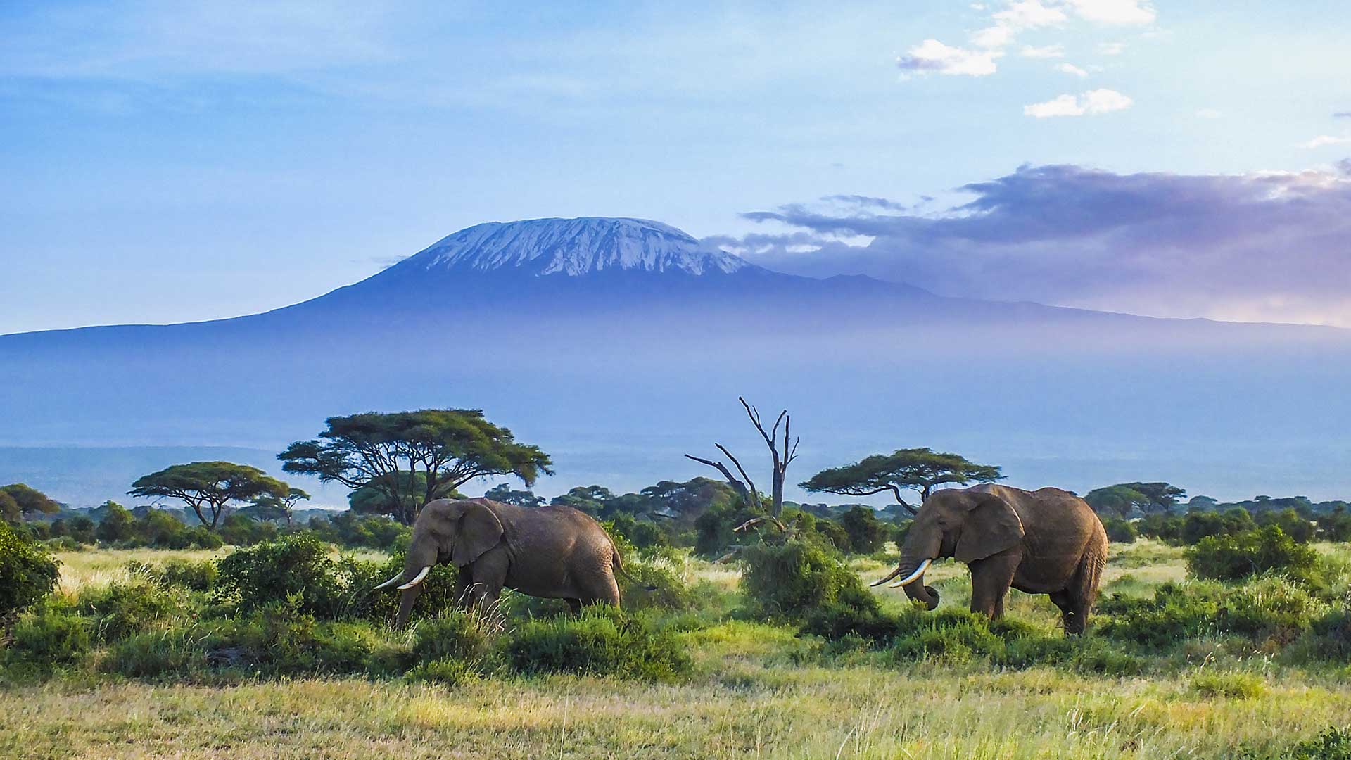 Kilimanjaro National Park TDS