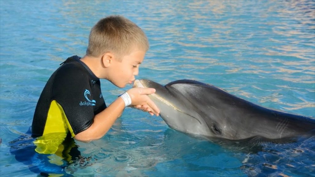 Play with Dolphins Dubai