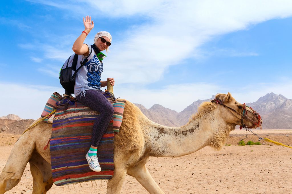 camel travel speed