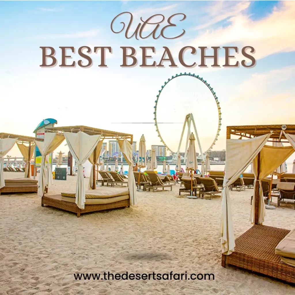 best beaches in uae
