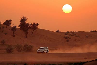 Morning Desert Safari in Dubai