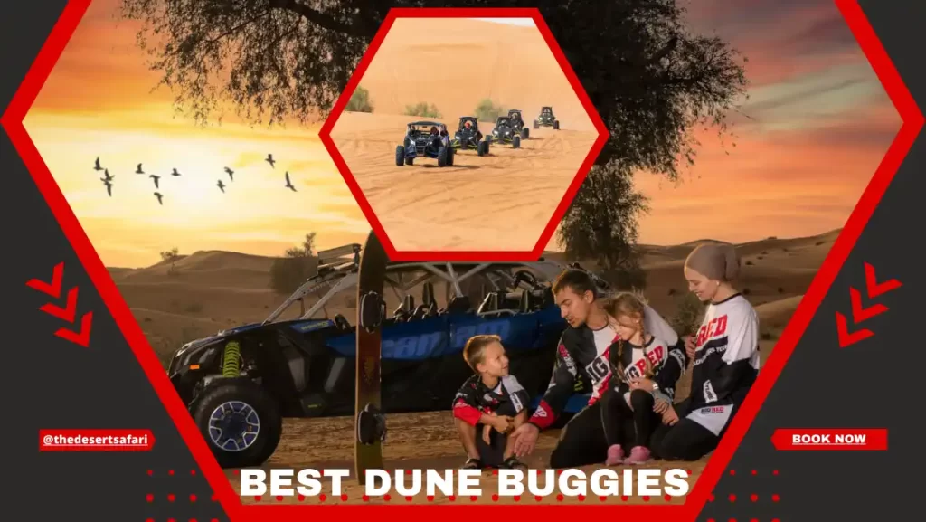 Best Dune Buggies