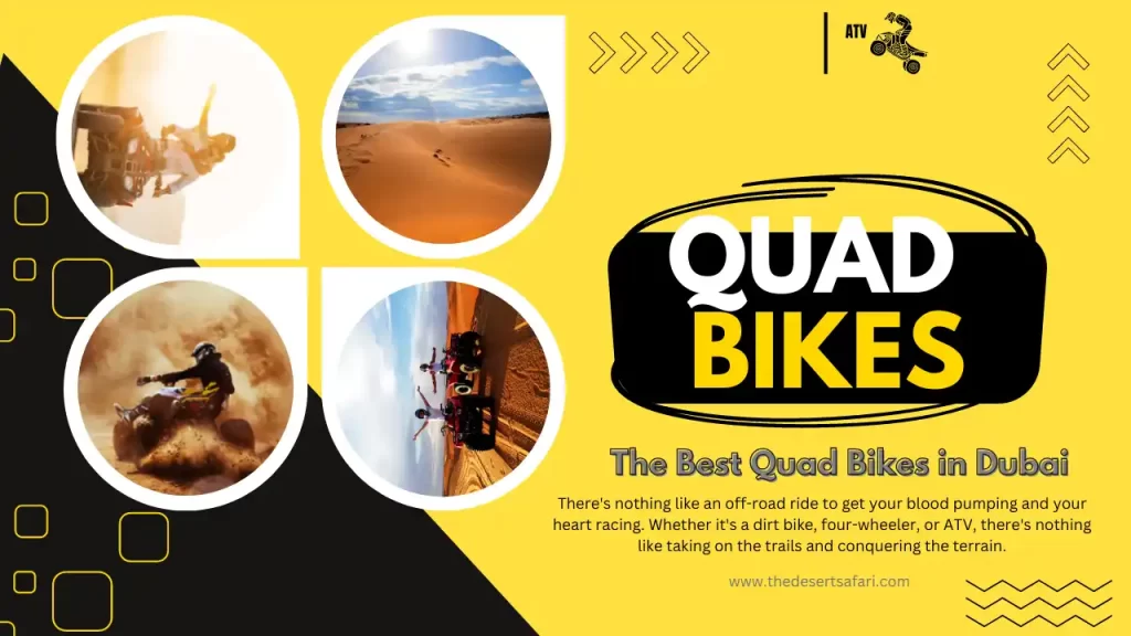 Quad Bike Tours