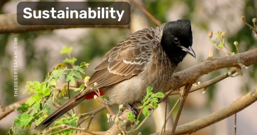 Sustainability At the Heart of Dubai Safari Park​