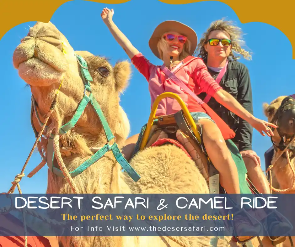 Experience the Adventure of a Desert Safari And Camel Ride Dubai