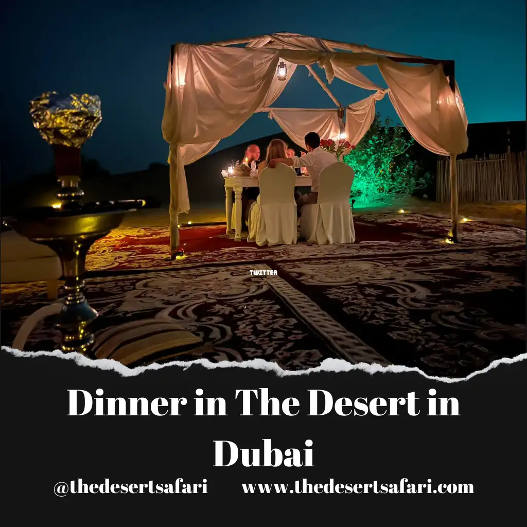 Dinner in The Desert in Dubai