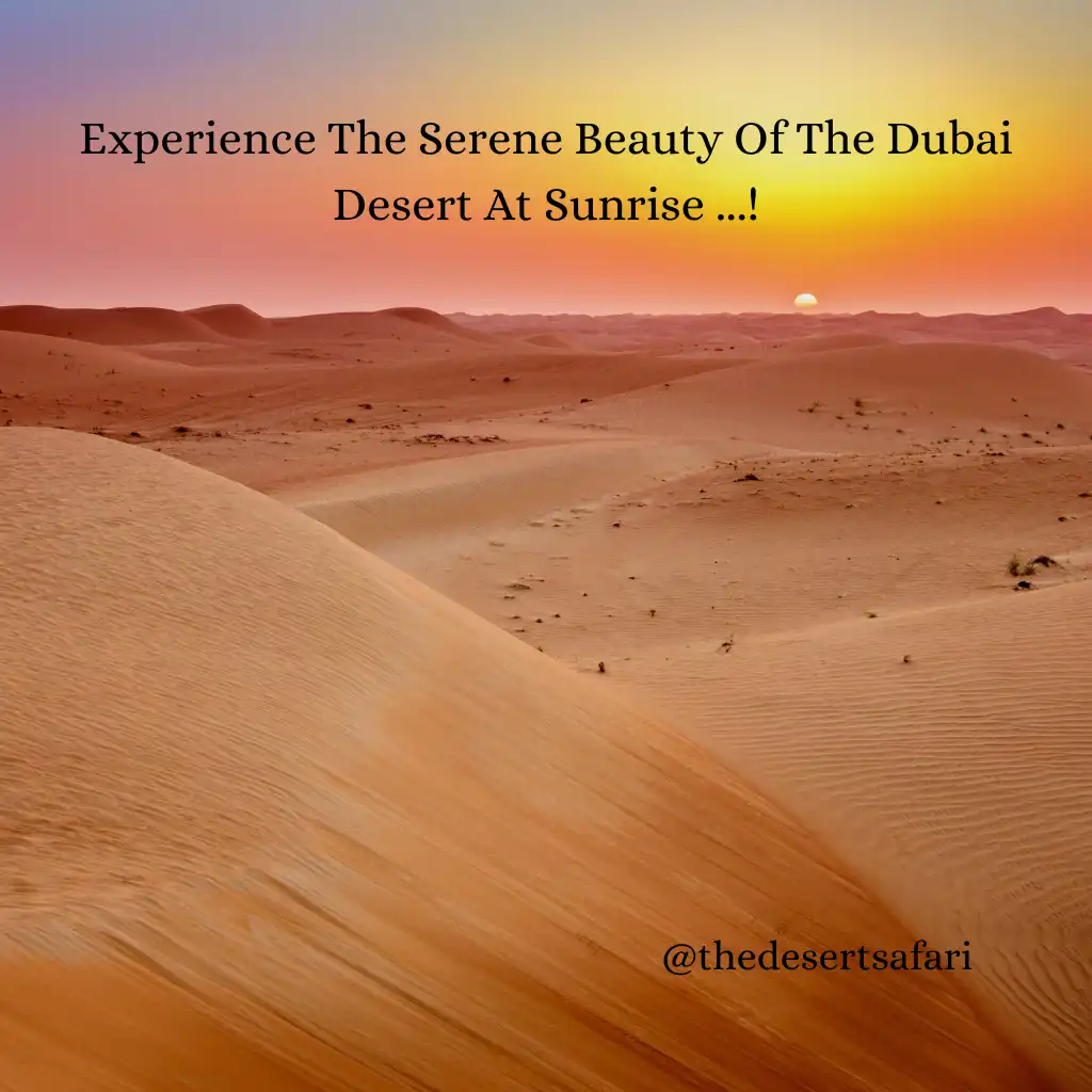 The Dubai Desert