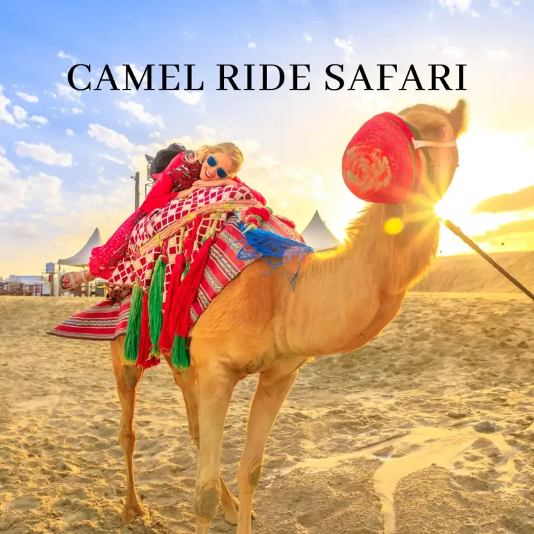 Camel Safari Without Dune Bashing