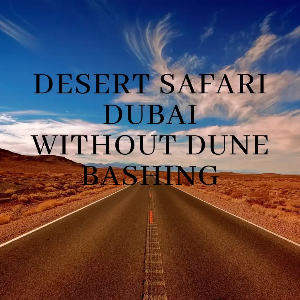 Desert Safari Without Dune Bashing