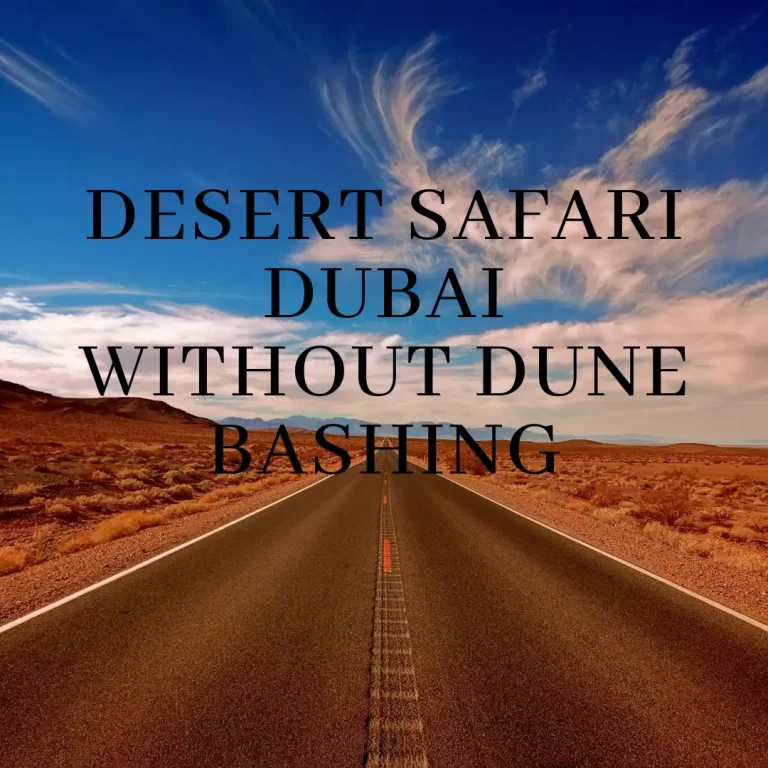 Desert Safari Without Dune Bashing