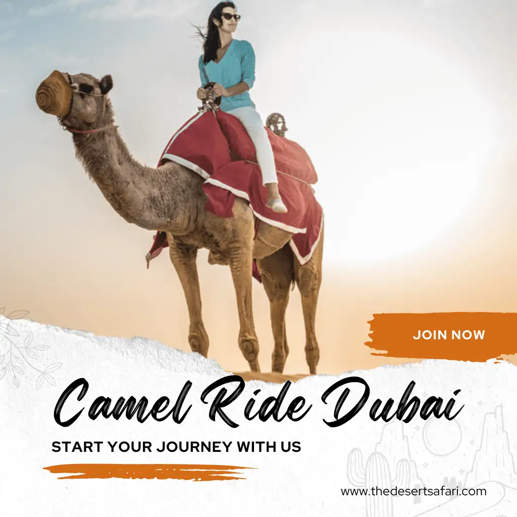 Camel Ride Dubai - Experience the Adventure of a Lifetime