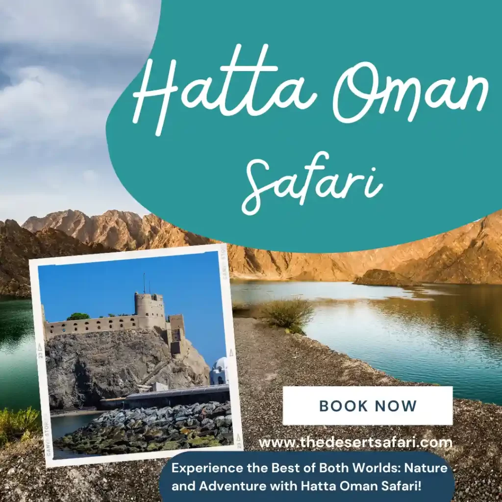 Hatta Oman Safari Tour