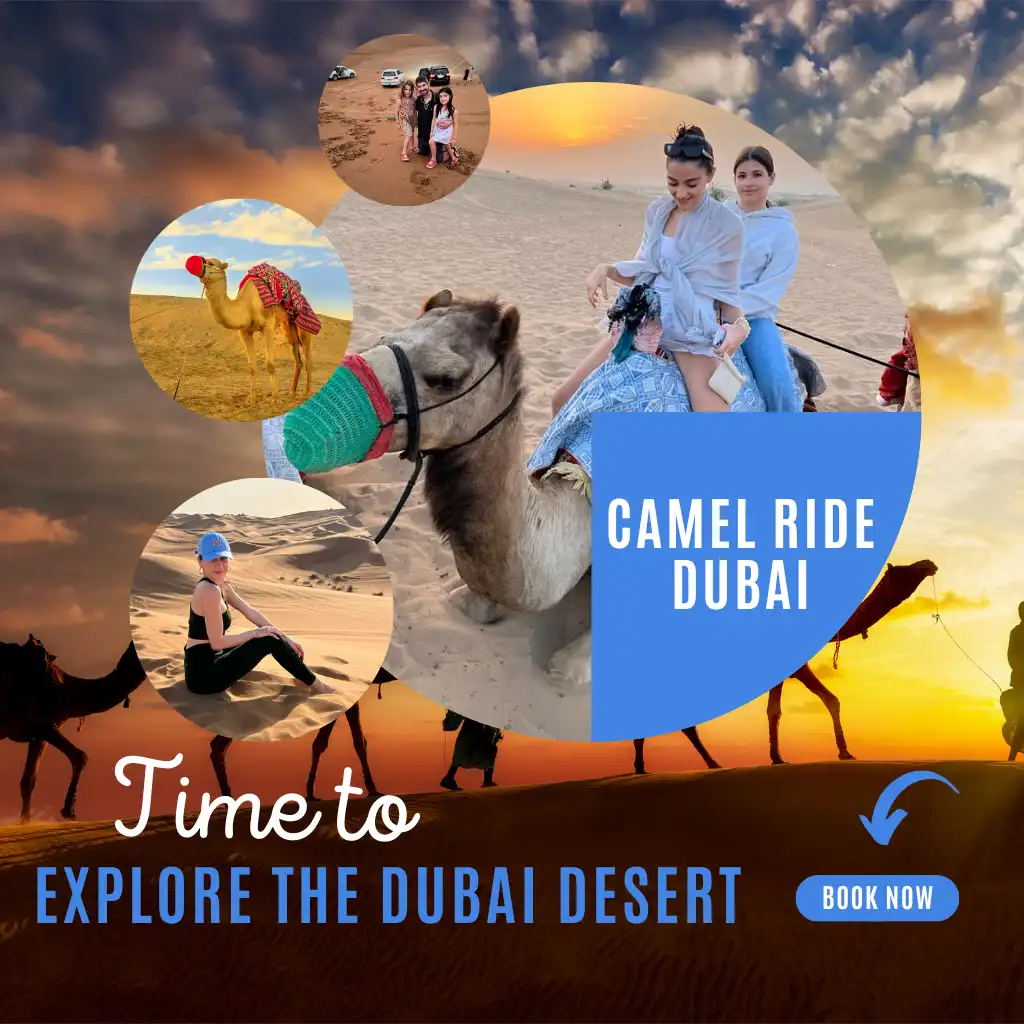 Morning Camel Safari Tour