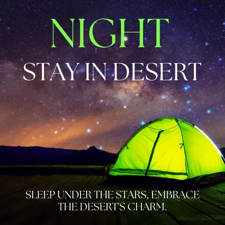 Overnight Desert Safari