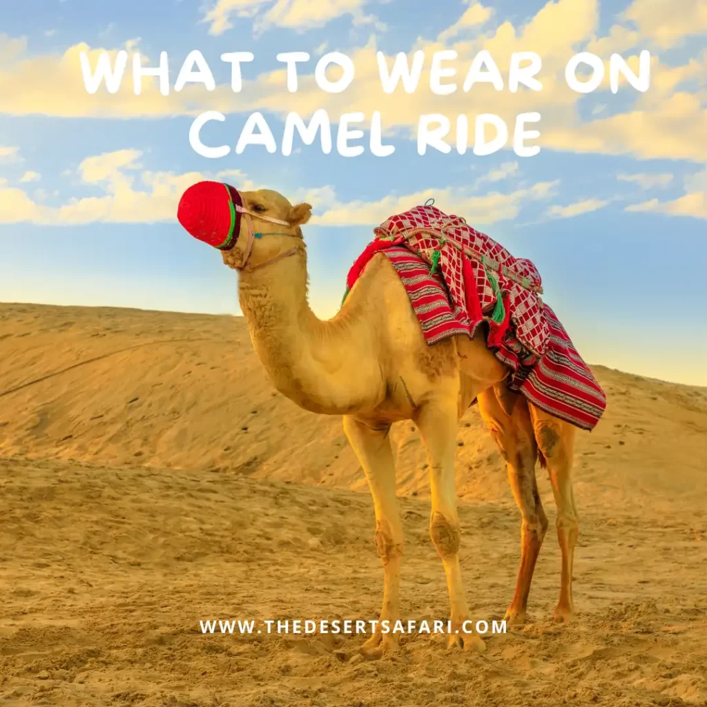 what to wear during camel ride in dubai