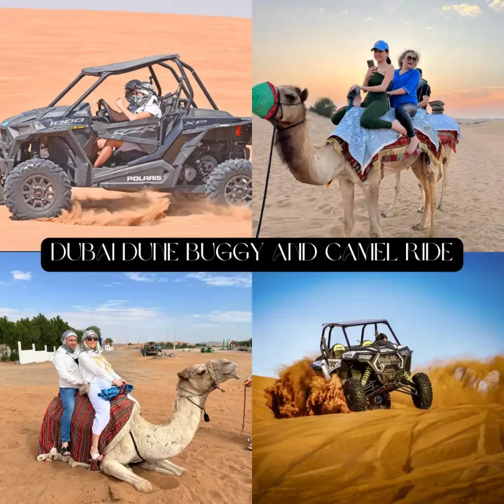 Dubai Dune Buggy And Camel Ride