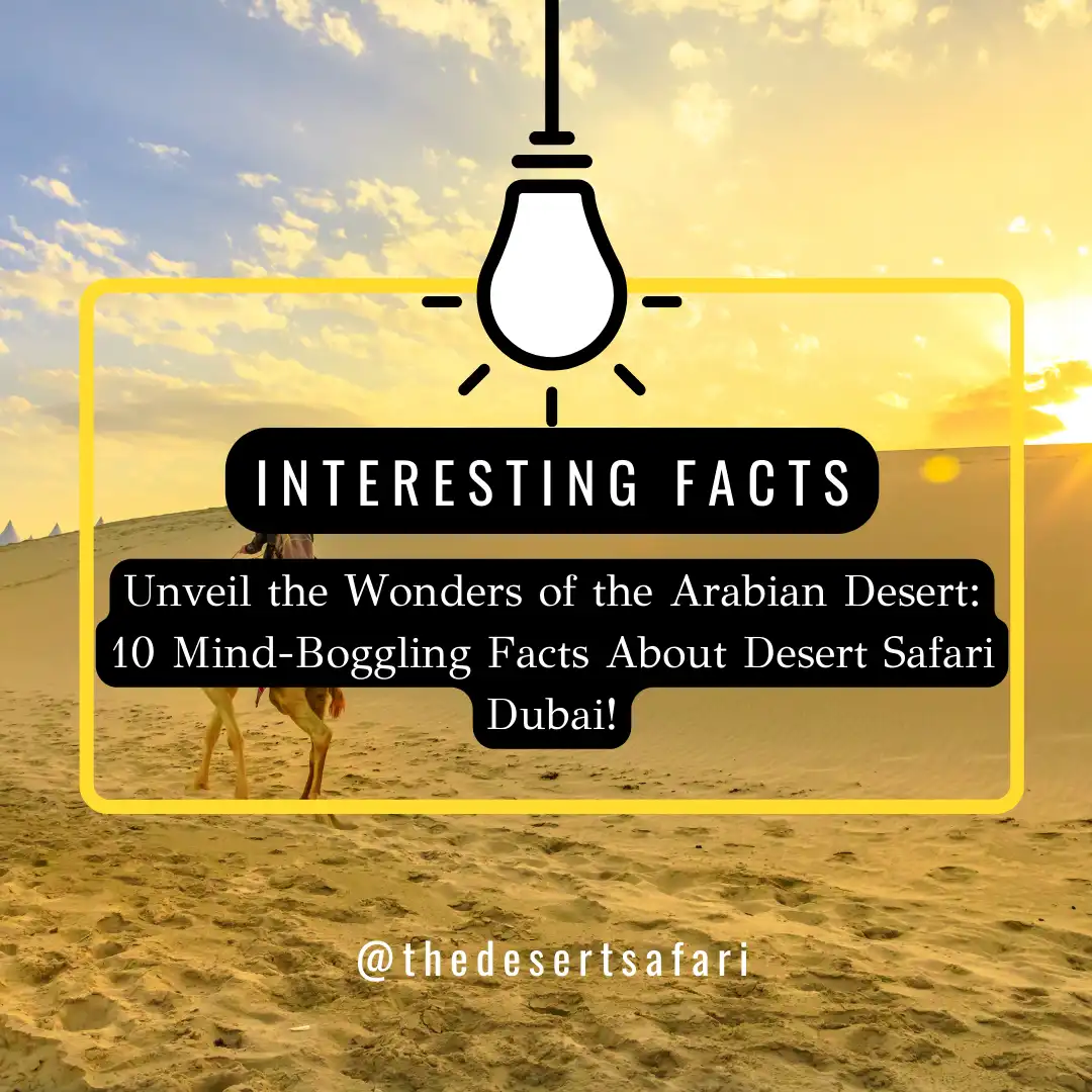 Facts About Desert Safari Dubai - Discover 10 Mind-Boggling Facts