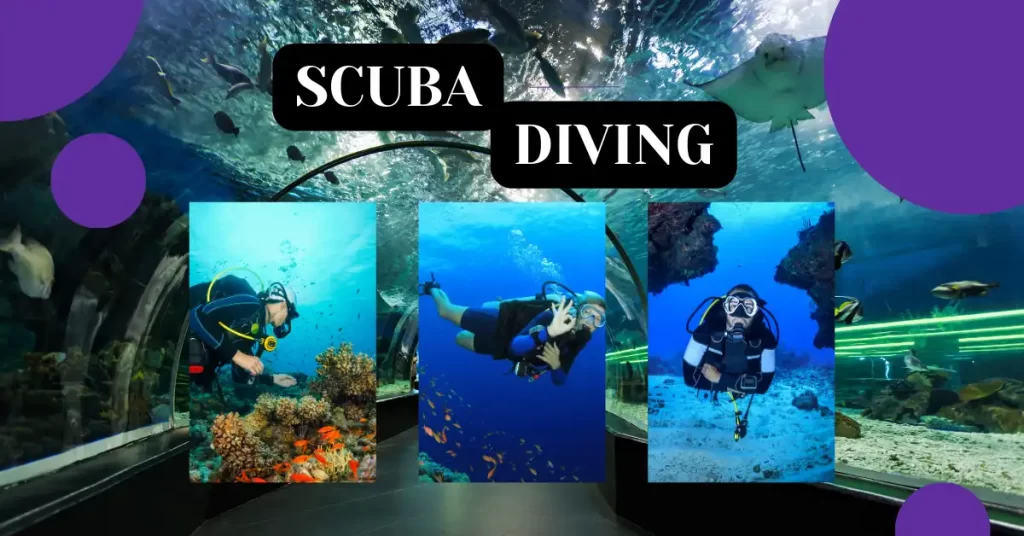 Scuba Diving at Dubai Aquarium