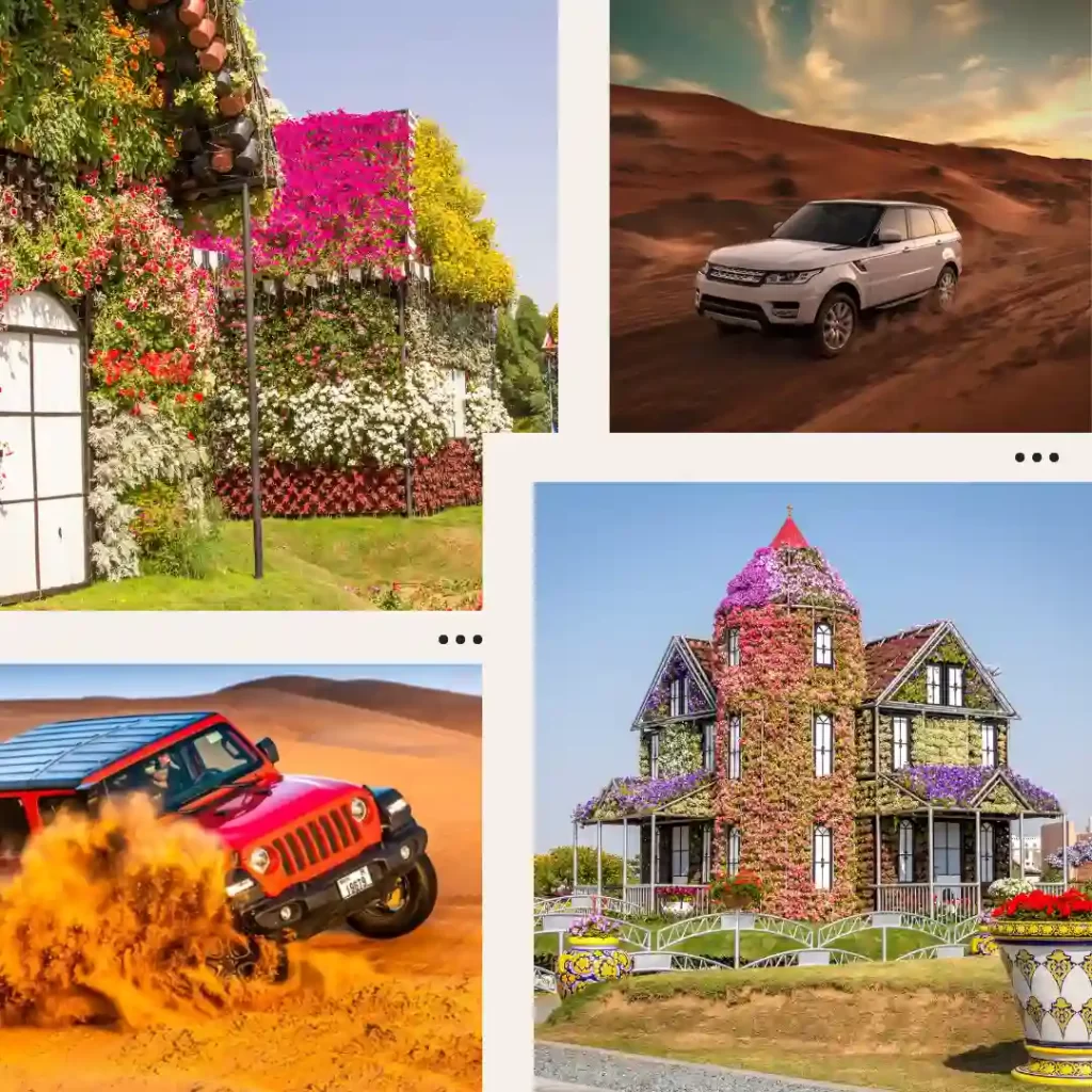Desert Safari & Dubai Miracle Garden​