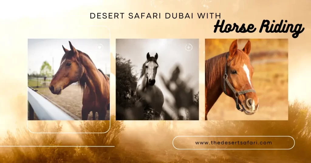 Desert Safari Dubai With Horse Riding