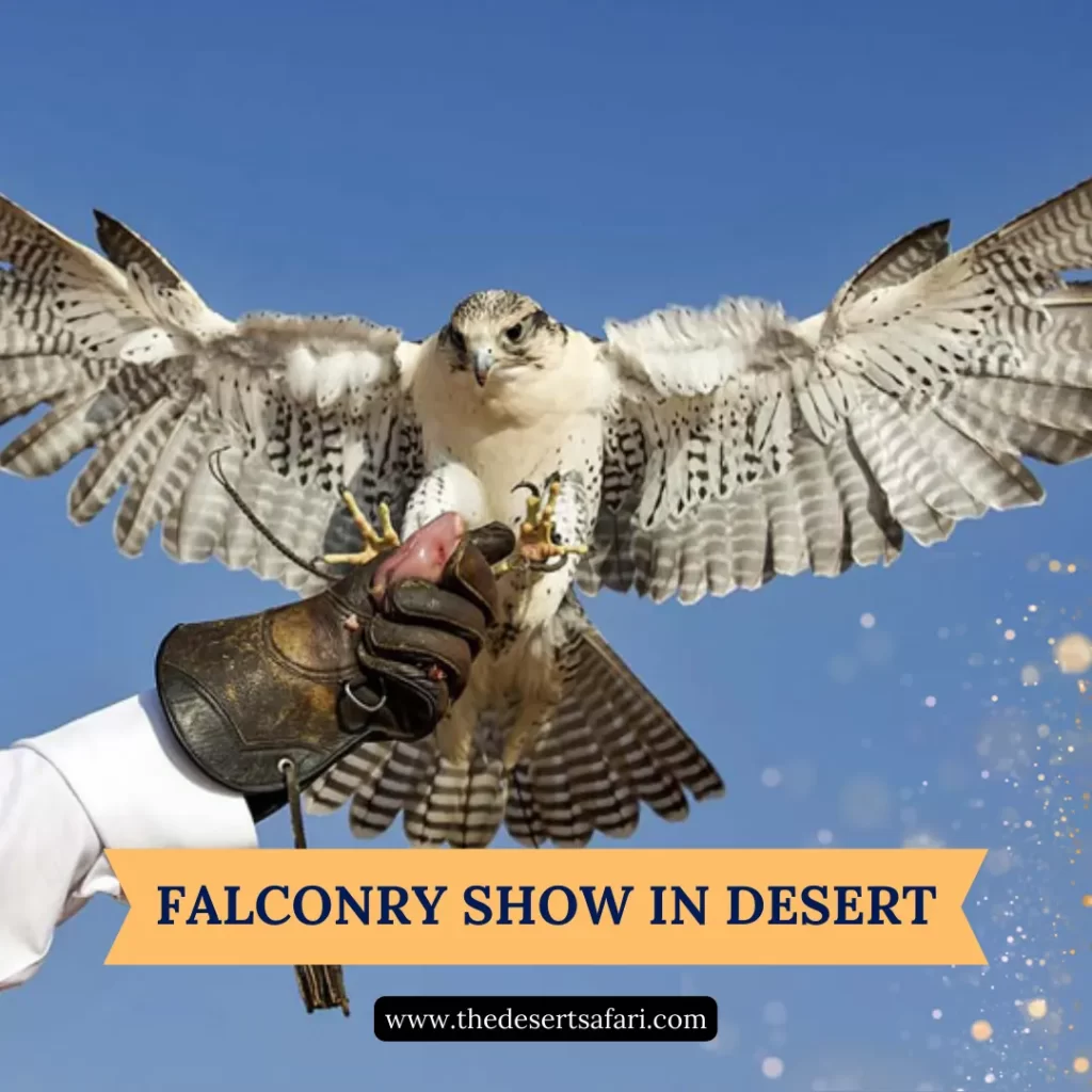 Dubai Falconry Desert Safari