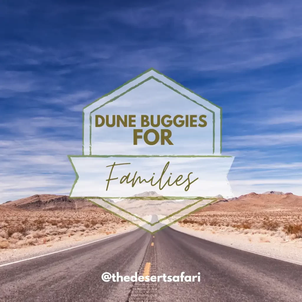 Dune Buggy Tours For Families