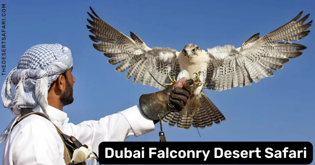 Falconry Desert Safari Dubai