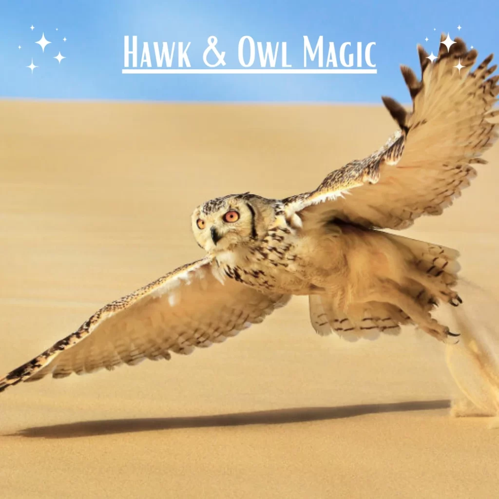 Desert Bird Shows