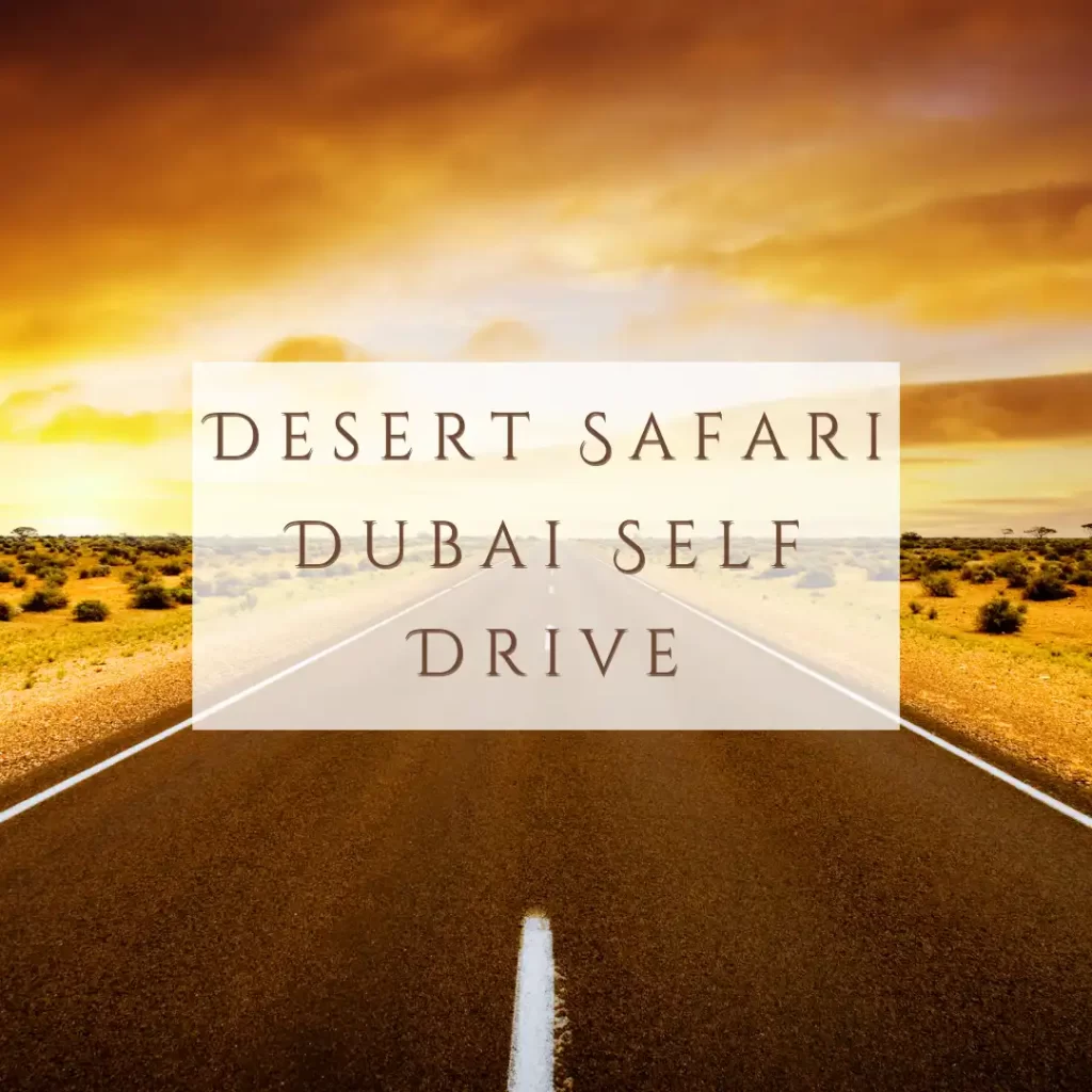 Desert Safari Dubai Self Drive