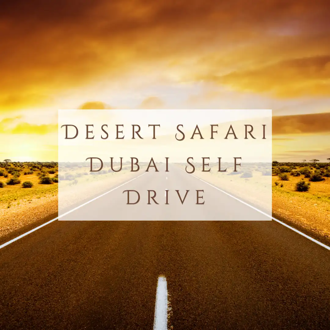 dubai safari self drive