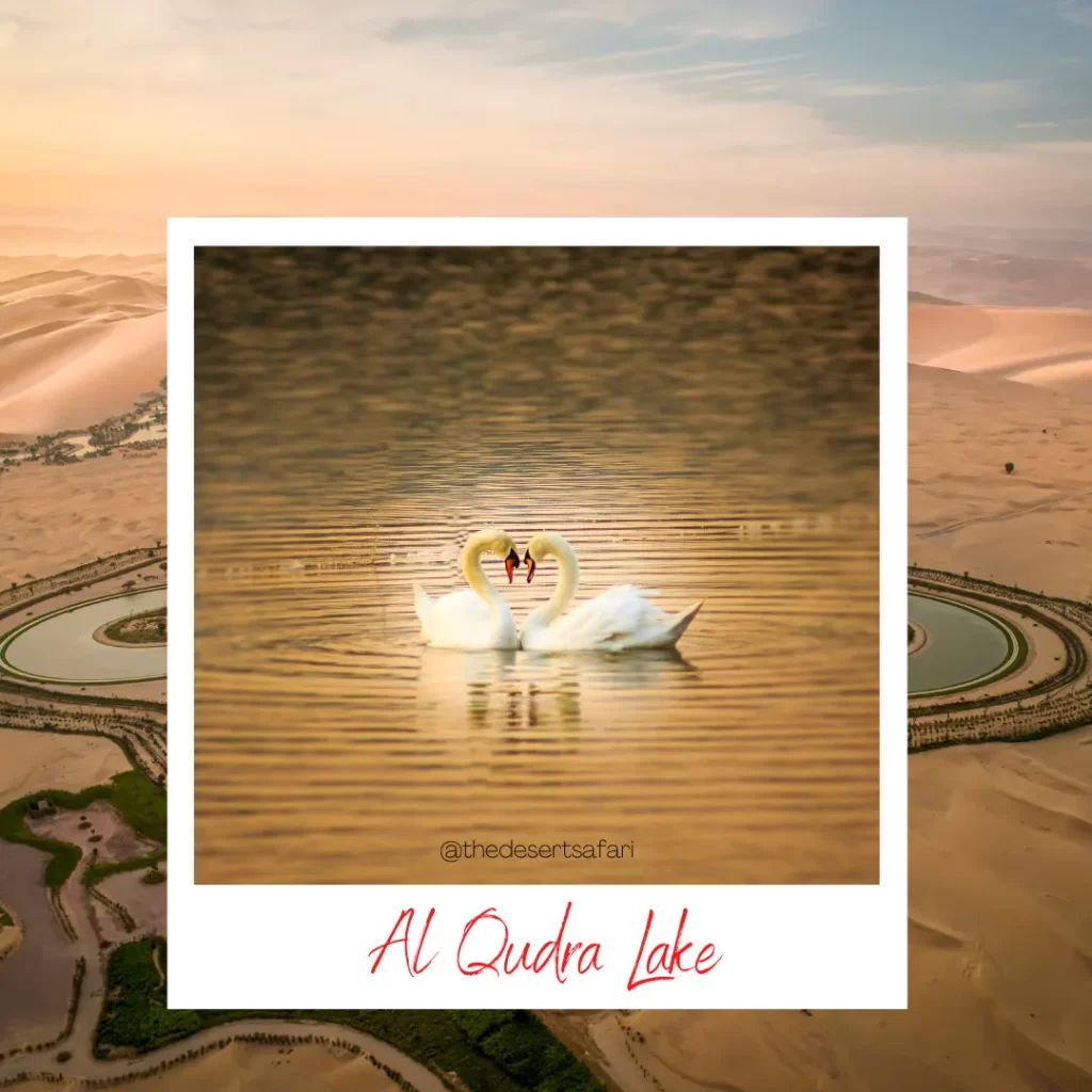 Al Qudra Lake in Dubai