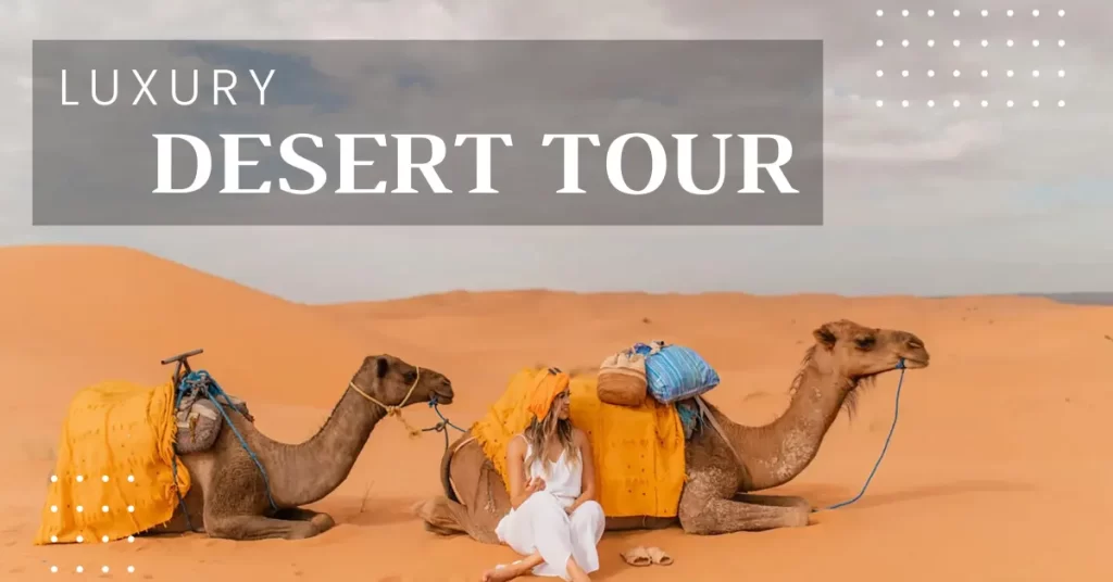 Luxury Desert Safari