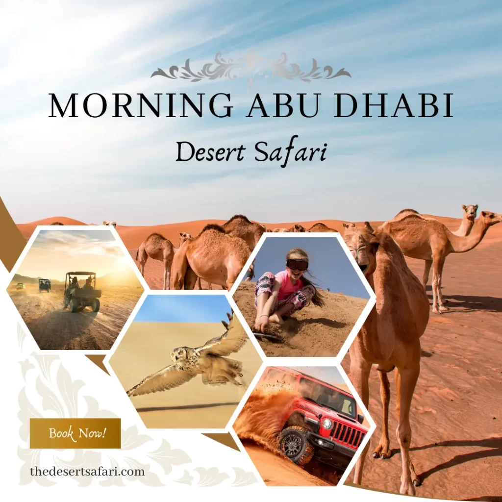 Morning Desert Safari Abu Dhabi