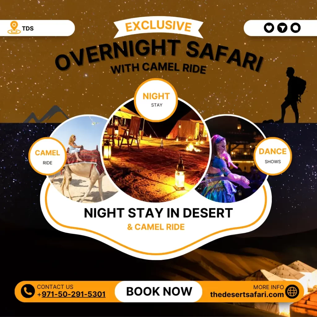 Overnight Desert Safari With Camel Ride