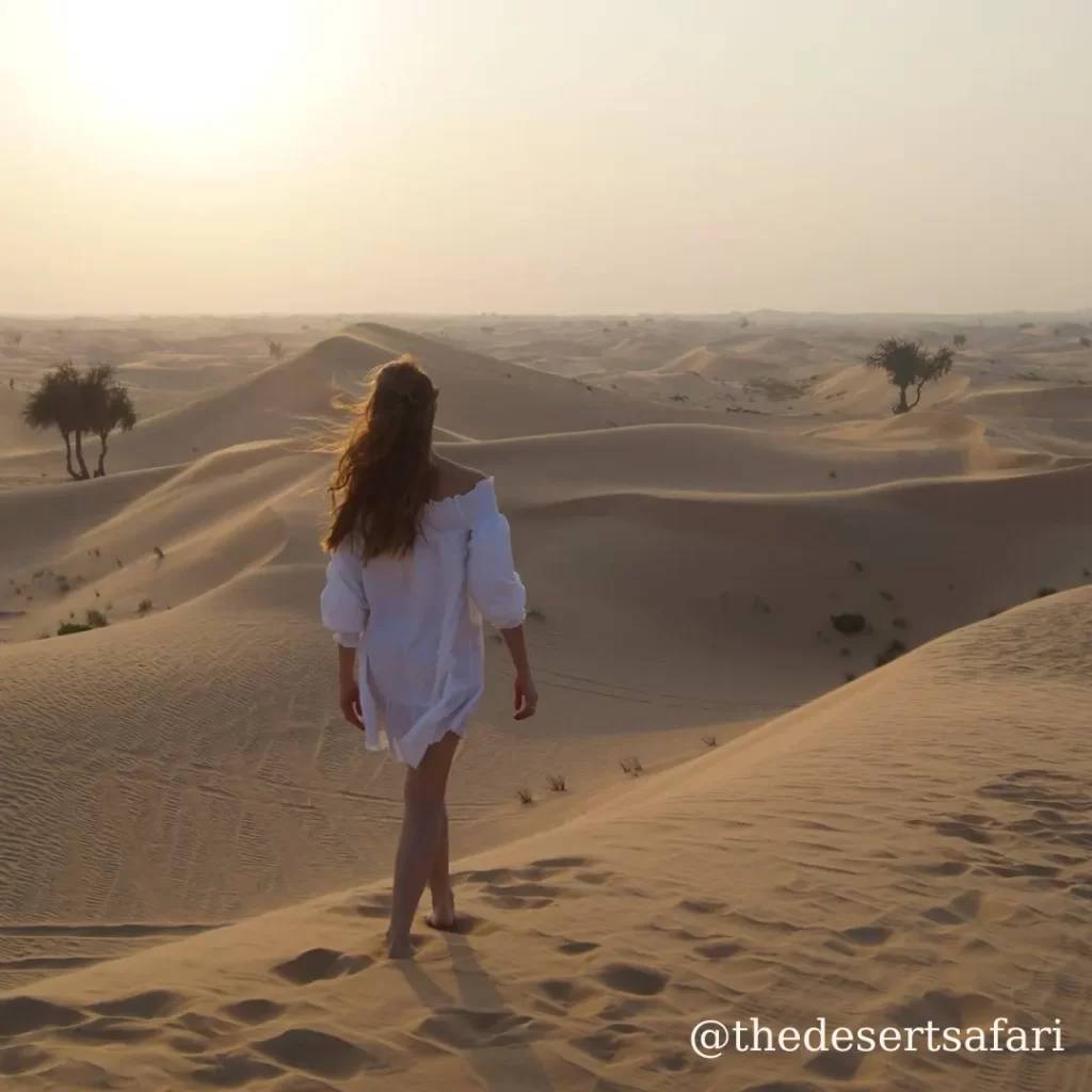 liwa desert safari abu dhabi