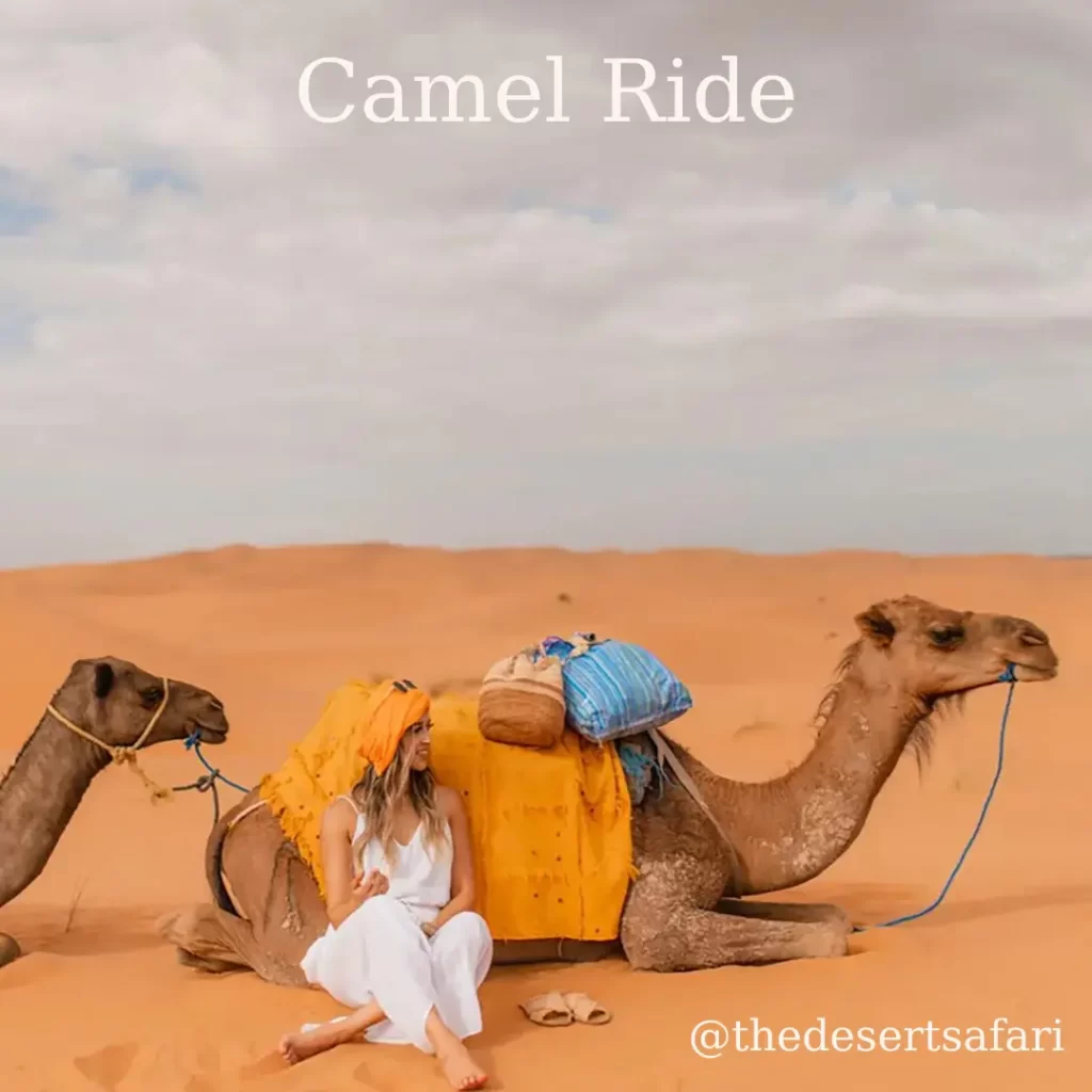 sunset camel ride abu dhabi