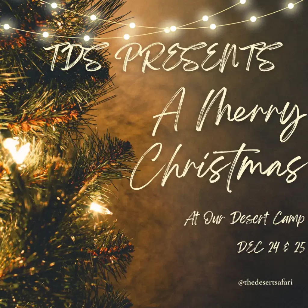 Merry Christmas at our Dubai desert camp