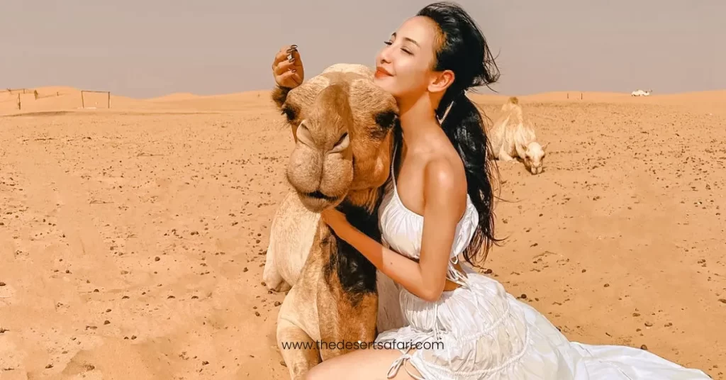camel ride desert activity