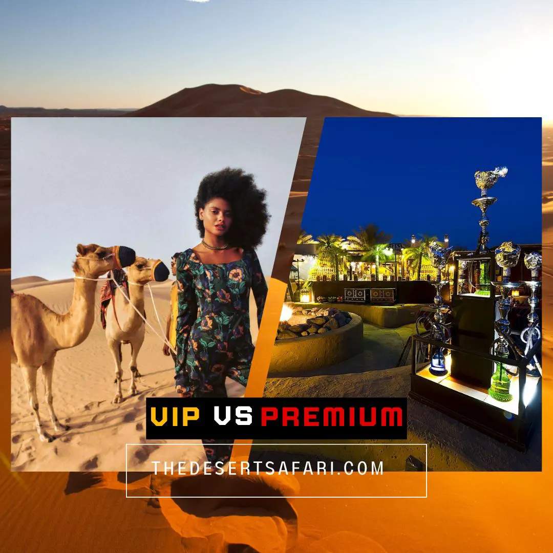 VIP vs Premium Desert Safari