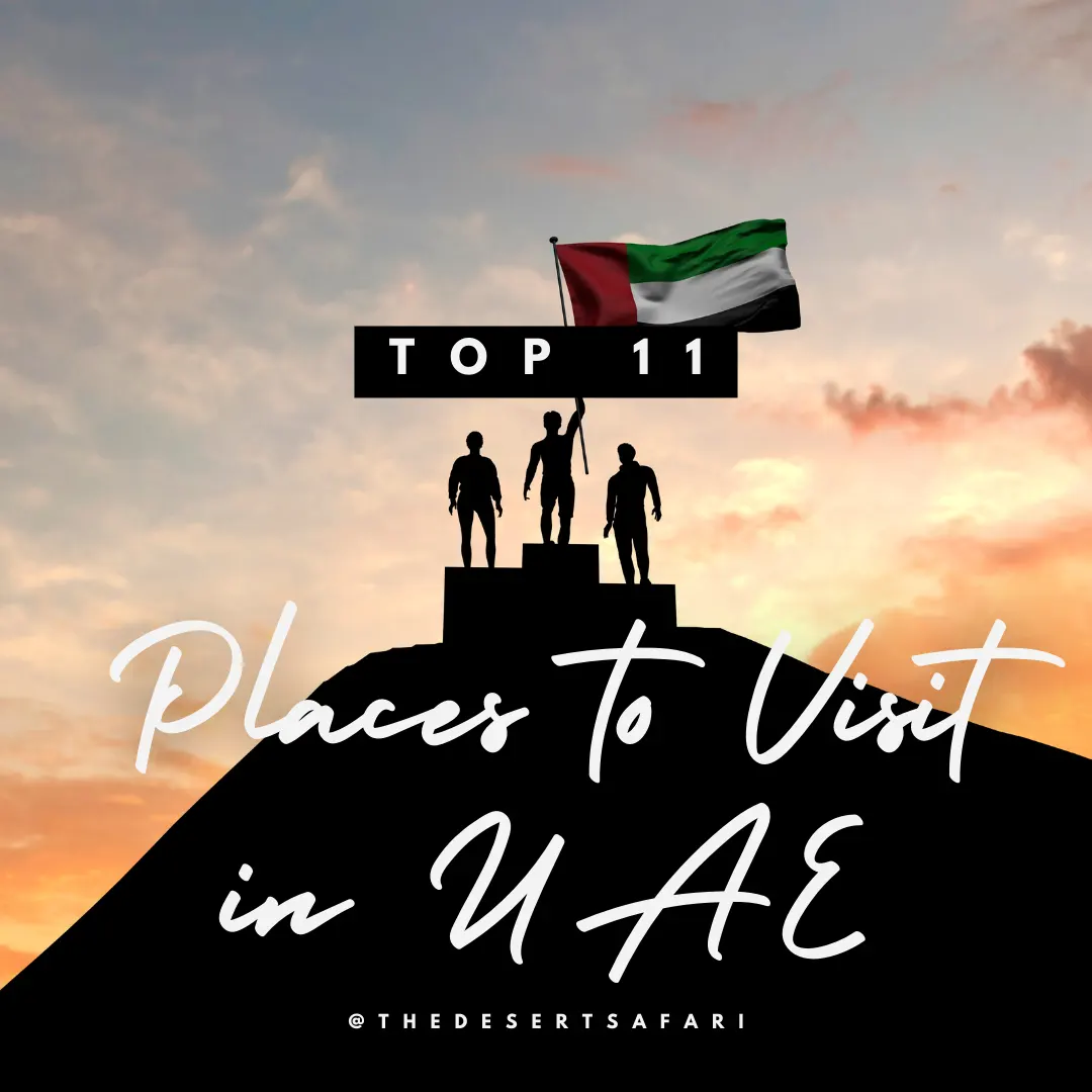 Top 11 Must-Visit Places in the UAE