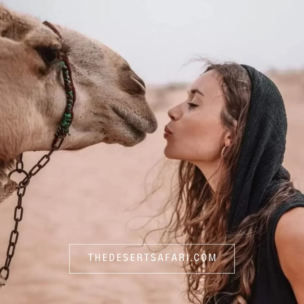 How to Ride a Camel in Dubai