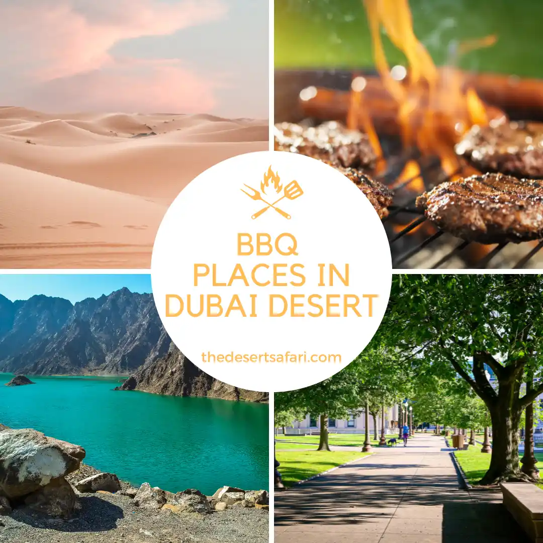 Public BBQ Places in Dubai Desert