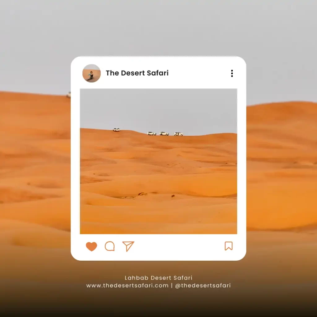 سفاري لحباب الصحراوي