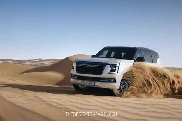 Afternoon Dune Bashing Dubai